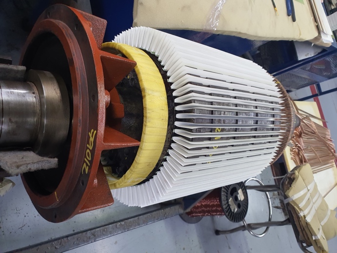 Motor jaula de ardilla